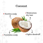 Buy Alps Goodness Coconut & Neem Anti-Dandruff Hair Oil (100 ml) - Purplle