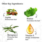 Buy Alps Goodness Coconut & Neem Anti-Dandruff Hair Oil (100 ml) - Purplle