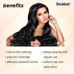 Buy Inatur Henna Powder (100 gm) - Purplle