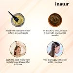 Buy Inatur Henna Powder (100 gm) - Purplle