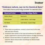 Buy Inatur Henna Powder (100 gm) - Purplle