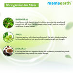 Buy Mamaearth BhringAmla Hair Mask with Bhringraj & Amla for Intense Hair Treatment (200 g) - Purplle