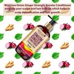 Buy WishCare Onion Ginger Conditioner - Strength & Shine Booster - No Parabens, Sulphates & Silicones - (300 ml) - Purplle