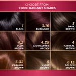 Buy L'Oreal Paris Excellence Creme Hair Color, 3 Dark Brown/Natural Darkest Brown, 72ml+100g - Purplle