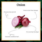 Buy Good Vibes Onion Hair Fall Control Hair Serum | Hair Growth, Strenghtening | No Parabens, No Sulphates, No Animal Testing (50ml) - Purplle