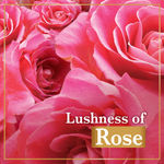 Buy LUX Rose & Vitamin E Soap (150 g) (Pack of 8) - Purplle