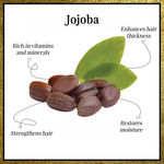 Buy Good Vibes Plus Argan + Jojoba - Moisturizing + Frizz Free Hair Serum (50 ml) - Purplle