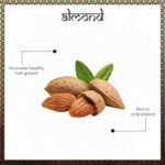 Buy Vayam Ayurveda 100% Pure Almond Coldpressed Carrier Oil (100 ml) | Ayurvedic | Natural | Herbal | Pure | Sulphate free | Paraben Free - Purplle
