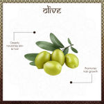 Buy Vayam Ayurveda 100% Pure Olive Coldpressed Carrier Oil (100 ml)| Ayurvedic | Natural | Herbal | Pure | Sulphate free | Paraben Free - Purplle
