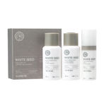 Buy The Face Shop Whiteseed Brigthening Discovery Kit - Purplle