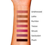 Buy Makeup Revolution Pro New Neutrals Blushed Satin Matte Lipstick Plush - Purplle