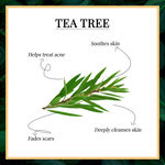 Buy Good Vibes Tea Tree Foaming Face Wash (150 ml) + Tea Tree Face Cream (50 g) Combo - Purplle