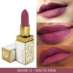Buy Just Herbs Herb Enriched Ayurvedic Lipstick (Mauve Pink, Shade no. 11) - Purplle