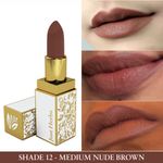 Buy Just Herbs Herb Enriched Ayurvedic Lipstick (Medium Nude Brown, Shade no. 12) - Purplle