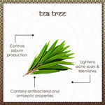 Buy Vayam Ayurveda 100% Pure Tea Tree Essential Oil (10 ml) | Ayurvedic | Natural | Herbal | Pure | Sulphate free | Paraben Free - Purplle