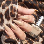 Buy Bella Voste Nail Paints Antique Almond (9 ml) - Purplle