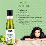 Buy Globus Naturals Nourishing Amla Hair Oil (100 ml) Pack Of 2 - Purplle