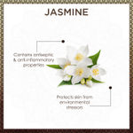 Buy Vayam Ayurveda Pure Jasmine Water Rejuvenating Toner (50ml) | Ayurvedic | Natural | Herbal | Pure | Sulphate free | Paraben Free | alcohol free - Purplle