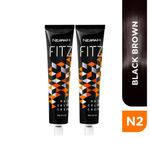 Buy Berina N2 Black Brown FITZ hair color cream Pack of 2 - Purplle