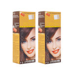 Buy Berina F5 Dark Mahogany Brown FRE-NIA Hair Color Cream60gm Pack of 2 - Purplle