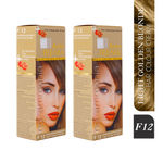 Buy Berina F12 Light Golden Blonde FRE-NIA Hair Color Cream 60gm Pack of 2 - Purplle