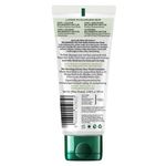 Buy Biotique Bio Morning Nectar Visibly Flawless Face Wash (100 ml) - Purplle