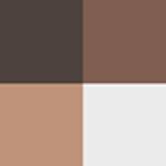 Buy Swiss Beauty Shape My Brows! Eyebrow Palette 02 (5 g) - Purplle