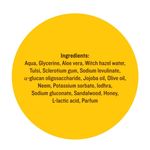 Buy SoulTree Nutgrass Face Wash With Neem & Chamomile- For Oily To Combination Skin(120 ml) - Purplle