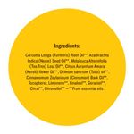 Buy Soultree Anti-Acne Oil with Neroli, Tea Tree & Cinnamon Oils - (10 ml) - Purplle