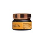 Buy SoulTree Ayurvedic Mascara - Pure Black(6gm)(Pure Black) - Purplle