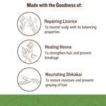 Buy SoulTree Licorice Hair Repair Shampoo with Strenghtening Bhringraj- For Dull & Damaged Hair(250 ml) - Purplle