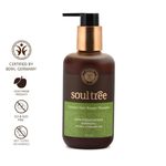 Buy SoulTree Licorice Hair Repair Shampoo with Strenghtening Bhringraj- For Dull & Damaged Hair(250 ml) - Purplle