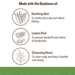 Buy SoulTree Licorice Hair Repair Shampoo with Strenghtening Bhringraj- For Dull & Damaged Hair(250 ml) - Purplle