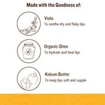 Buy SoulTree Face Scrub - Walnut And Turmeric With Cooling Sandalwood(100gm) - Purplle