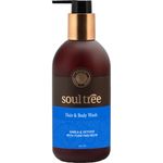 Buy SoulTree Ayurvedic Lipstick - Rich Earth 777(4gm)(Rich Earth - 777) - Purplle