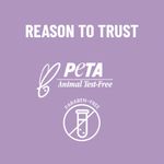 Buy Swiss Beauty Makeup Brushes Set 5 Purple - Purplle