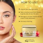 Buy Globus Naturals Advanced Recovery Day Cream | For Radiant & Younger Looking Skin |100% Natural | Paraben Free | SLS Free | Net Wt. (50 gm) - Purplle