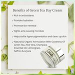 Buy Globus Naturals Green Tea Day Cream with Goodness of Lemongrass |100% Natural | Paraben Free | SLS Free |Net Wt. (50 g) - Purplle