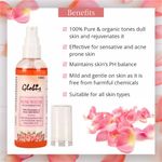 Buy Globus Naturals Rejuvenating Rose Water With Goodness Of Aloe Vera extract (100 ml) (Pack Of 2) - Purplle