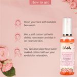 Buy Globus Naturals Rejuvenating Rose Water With Goodness Of Aloe Vera extract (100 ml) (Pack Of 2) - Purplle