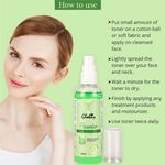 Buy Globus Naturals Cucumber Facial Skin Toner With Goodness Of Aloe Vera Extract (100 ml) (Pack Of 2) - Purplle