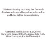 Buy Biotique Bio Pineapple Oil Control Foaming Face Wash (100 ml) - Purplle