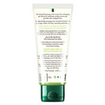Buy Biotique Bio Neem Purifying Face Wash (100 ml) - Purplle