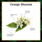 Buy Good Vibes Illuminating Foaming Face Wash - Orange Blossom (150ml) - Purplle