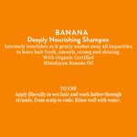 Buy Biotique Advanced Organics Banana Deeply Nourishing Shampoo (300 ml) - Purplle