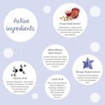 Buy Dot & Key 5% AHA Toner Skin Clarifying Liquid Exfoliant - Purplle