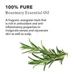 Buy RAS Luxury Oils Rosemary Pure Essential Oil (10 ml) - Purplle