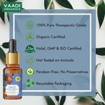Buy Vaadi Herbals Vitamin C Fairness Facial Serum for Instant Glow (10 ml) - Purplle