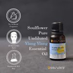 Buy Soulflower Ylang Ylang Essential Oil - Pure, Natural, Undiluted Essential Oil for Skin & Hair Nourishment, Diffusion, Aromatherapy, Ecocert Cosmos Organic Certified 15ml - Purplle