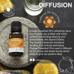 Buy Soulflower Orange Essential Oil, For All Oily & Combination Skin & Hair Type, 100% Pure & Natural, Therapeutic Grade Aromatherapy, Citrus, 15ml - Purplle